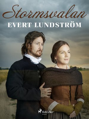 cover image of Stormsvalan